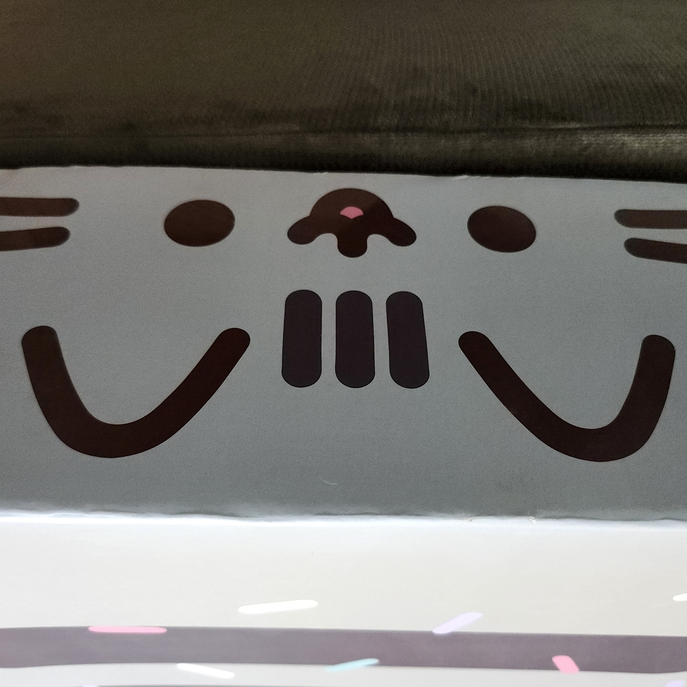 Culturefly Pusheen Box, Summer 2018 Collection